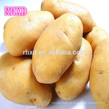 heiße verkaufende frische Kartoffel vom Porzellan frischen Holland Patato